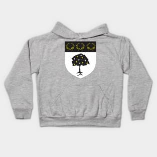 Darkwood Heraldry Kids Hoodie